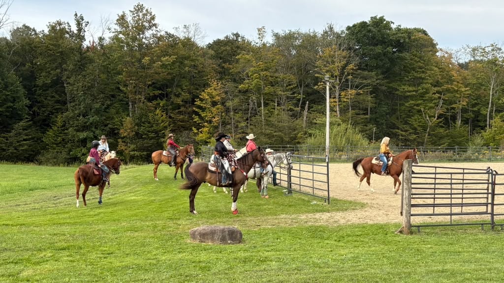 Crowd watching the mounted shooting demonstration