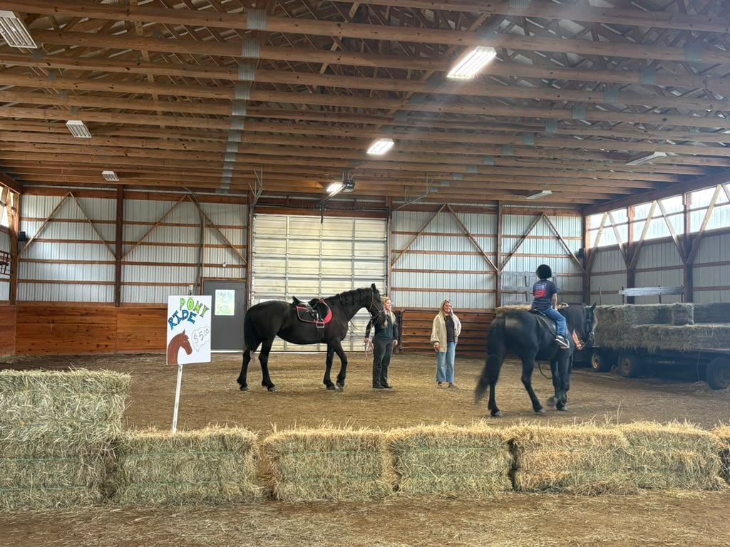 Pony rides inside the indoor arena